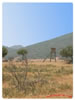 Puestos-Sierra